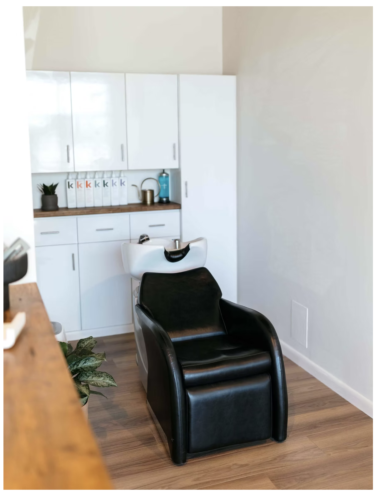 Screenshot 2026-02-19 at 10.44.31 AM.png