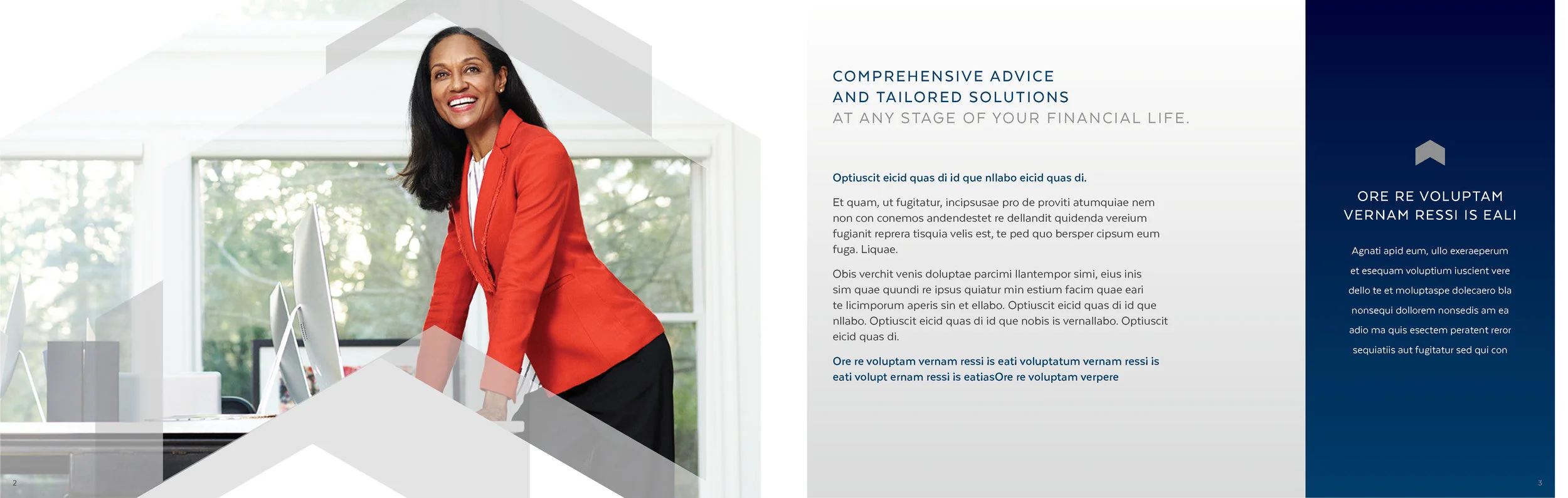 ST_PrivateWealth_Brochure_2016-12-122.jpg