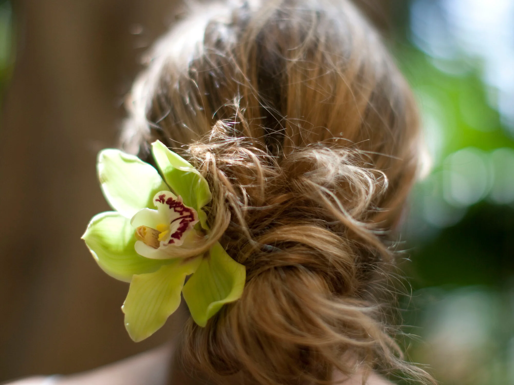 NaturaPrint_images6.jpg