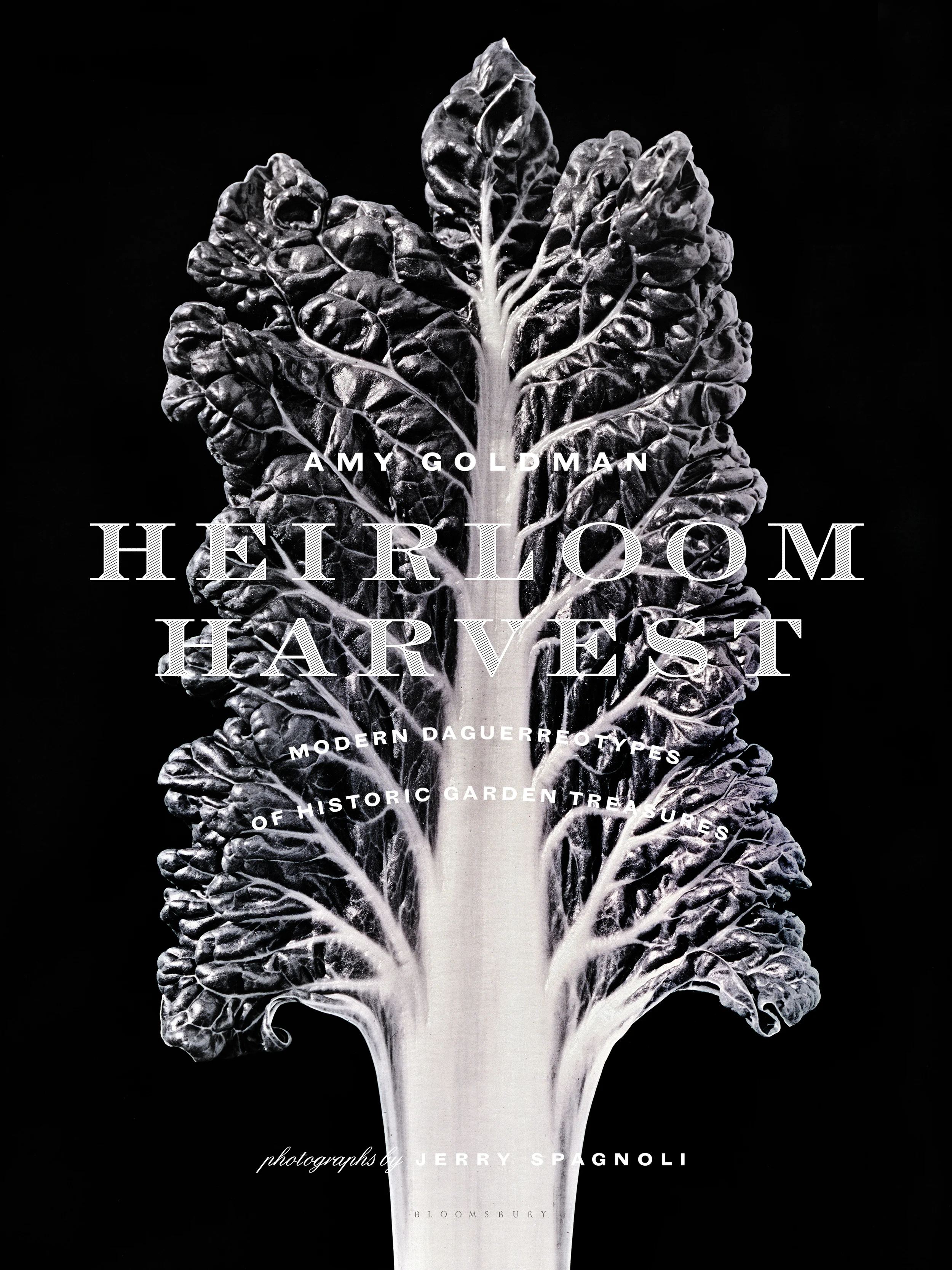 Heirloom Harvest_Cover_HIRES_RGB.jpg