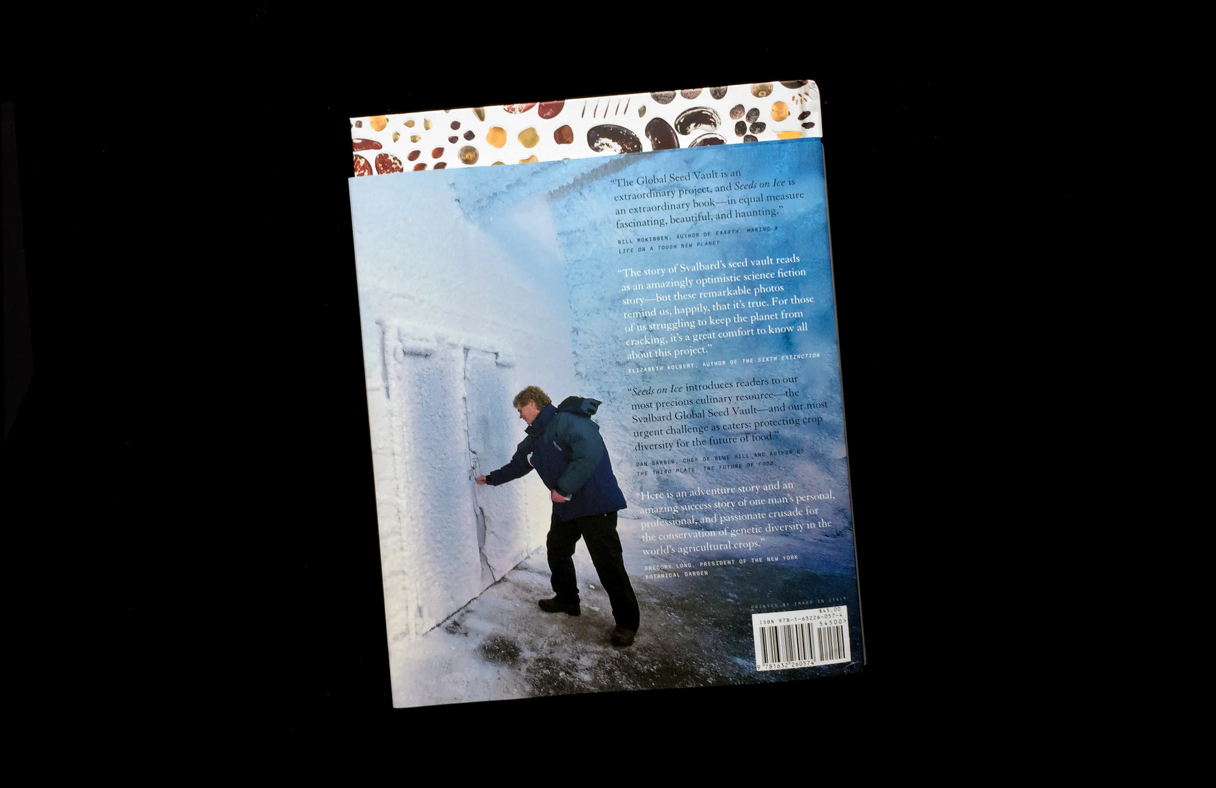 Back Cover.jpg