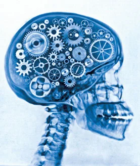 simplemind.jpg