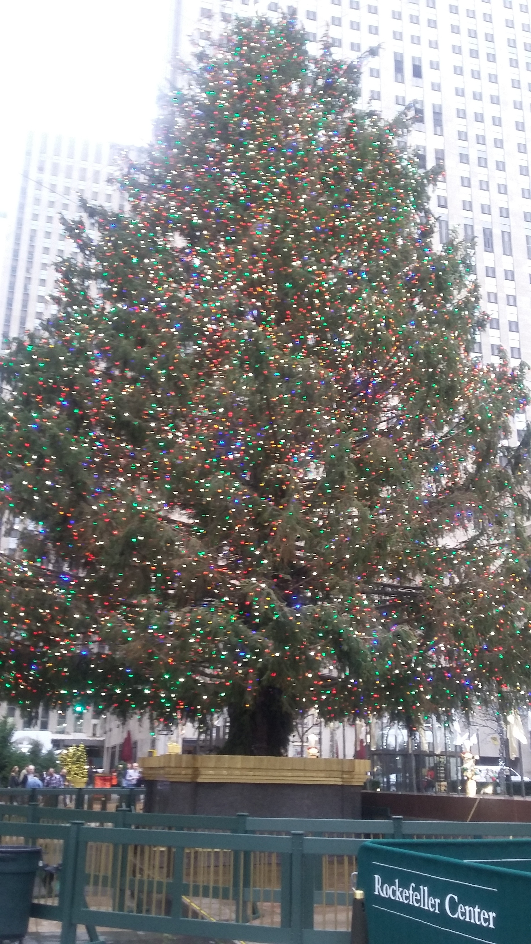  The beautiful Christmas tree at Rockefeller Center 