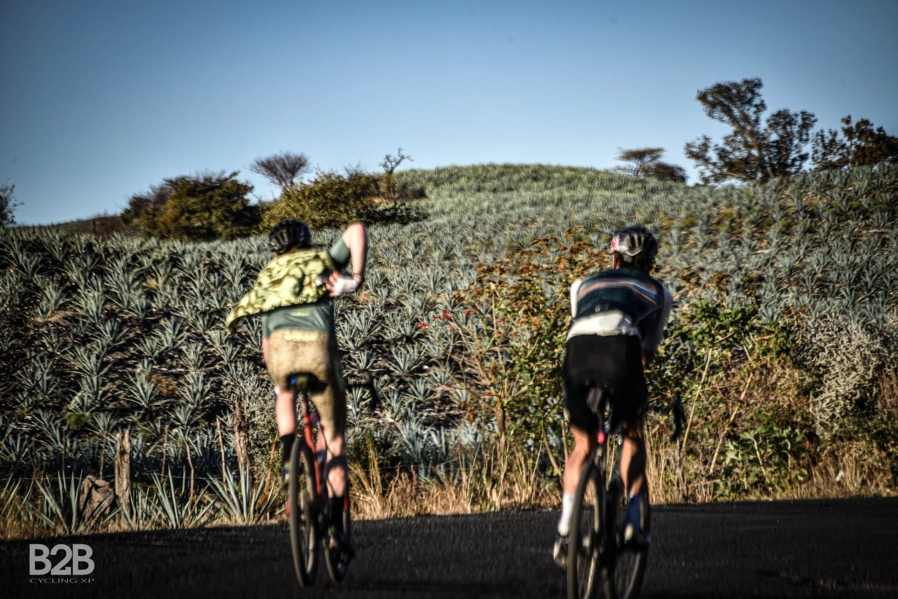 The Best Cycling In Mexico | Ian Boswell &amp; Colin Strickland Tour of Tequila Mexico