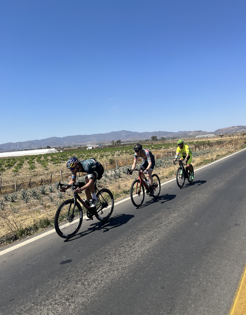 How To Book a Bike Tour and Bike Rental From Hotel El Pescador | Puerto Vallarta Jalisco