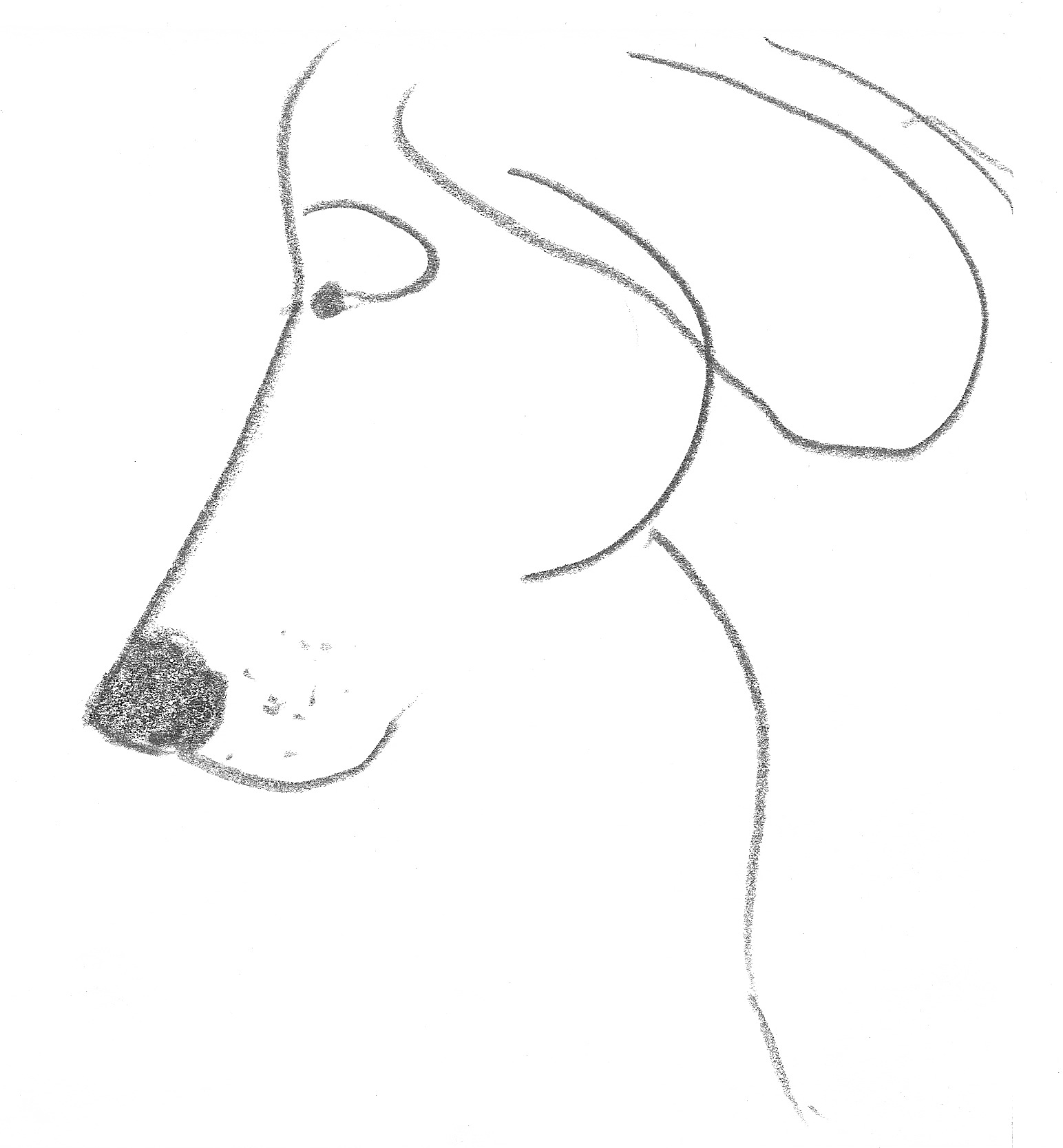 thurber dog.jpeg