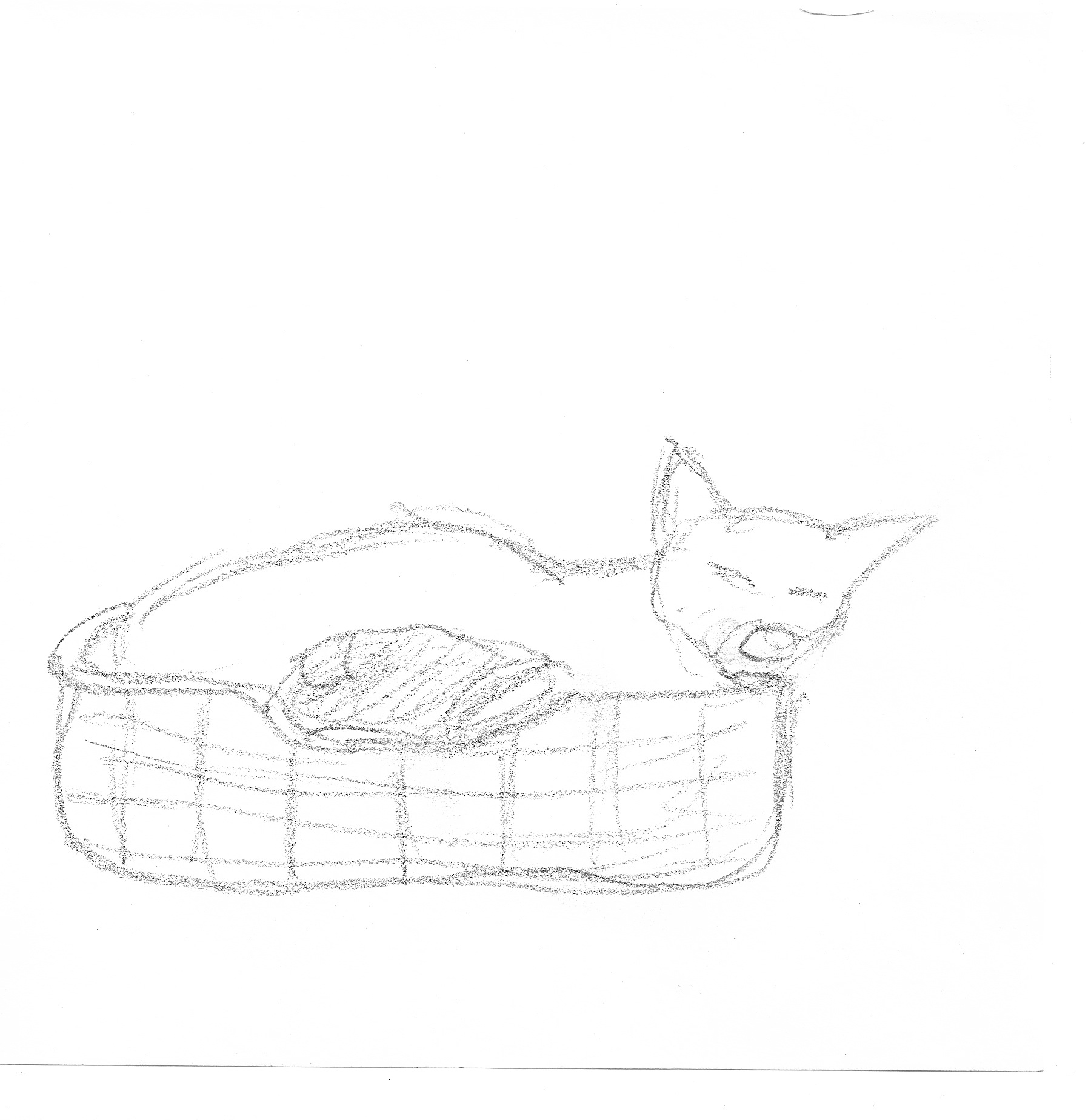 in bed.jpeg