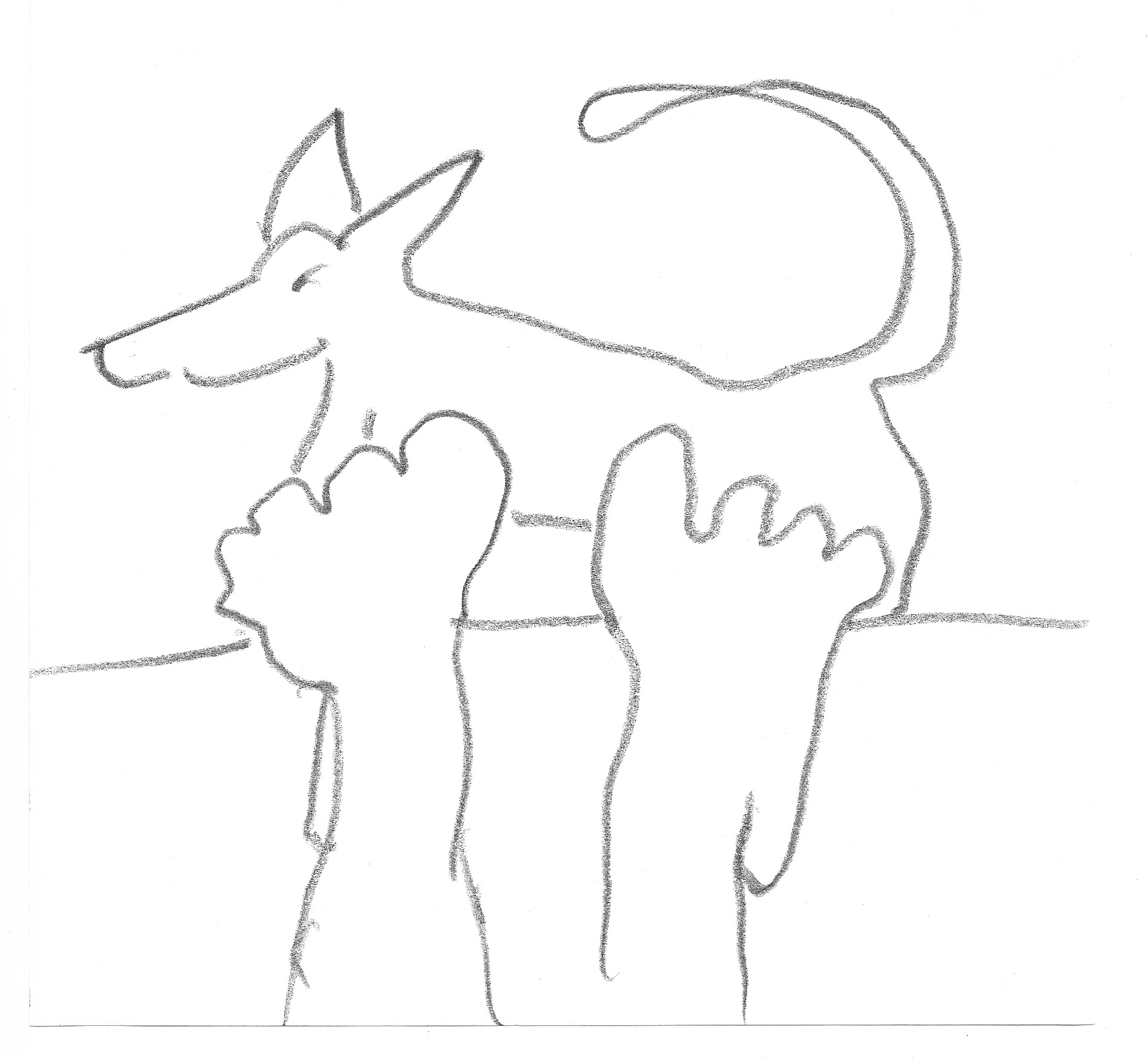 feet.jpeg