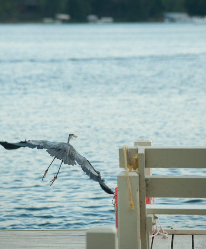 On and over the water