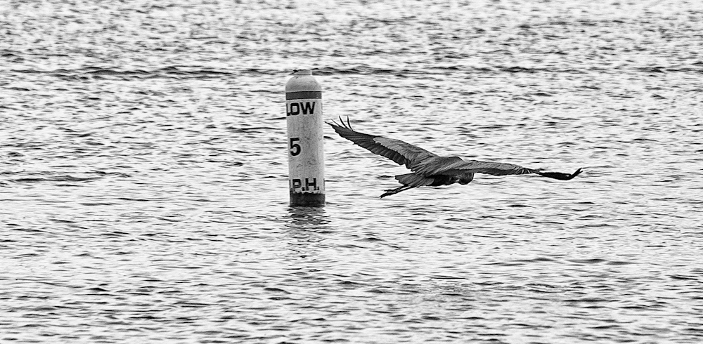 On and over the water