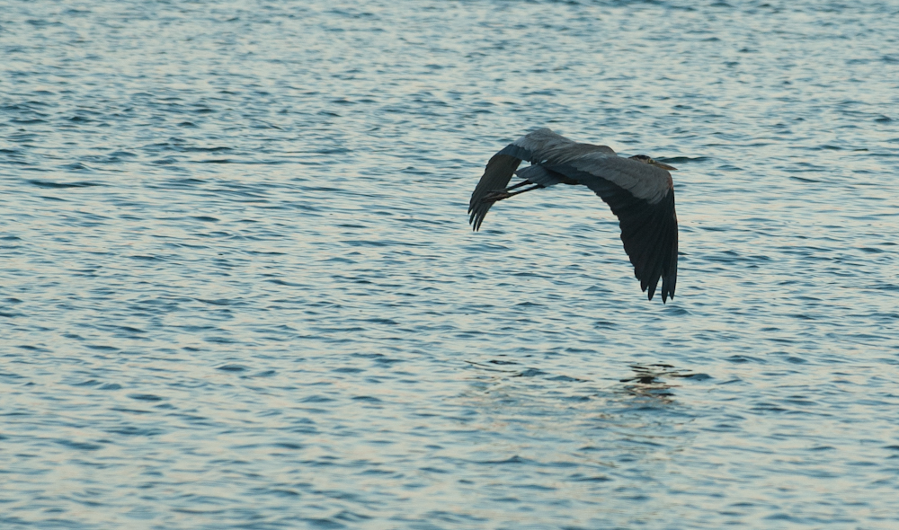On and over the water