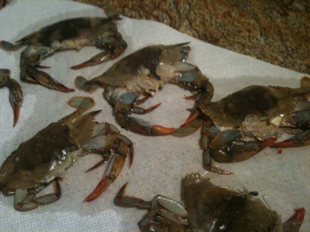 Friday night dinner