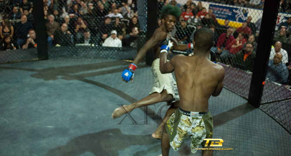 XFO MMA Presents "fight Night" at The Sears Centre Main Event Posting