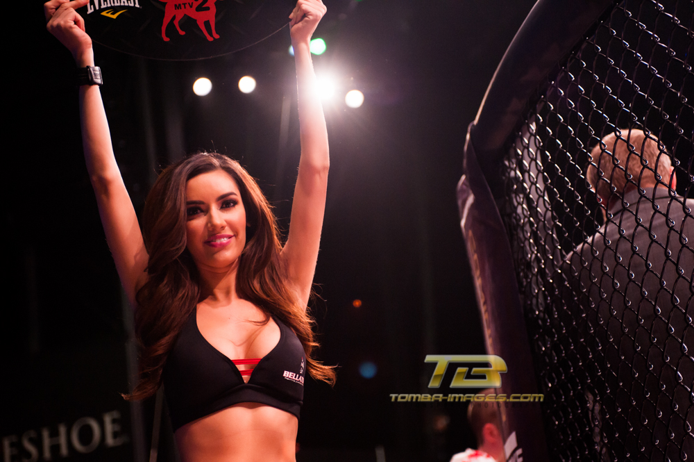 Bellator # 84 Photo Gallery..... December 14th  Hammond, Indiana 