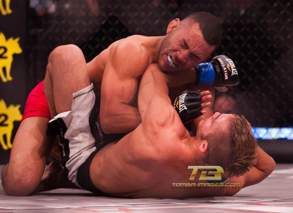 Bellator # 84 Fight Night Gallery Posting (Few Quick Picks)