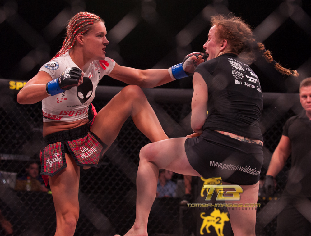 Bellator # 84 Fight Night Gallery Posting (Few Quick Picks)