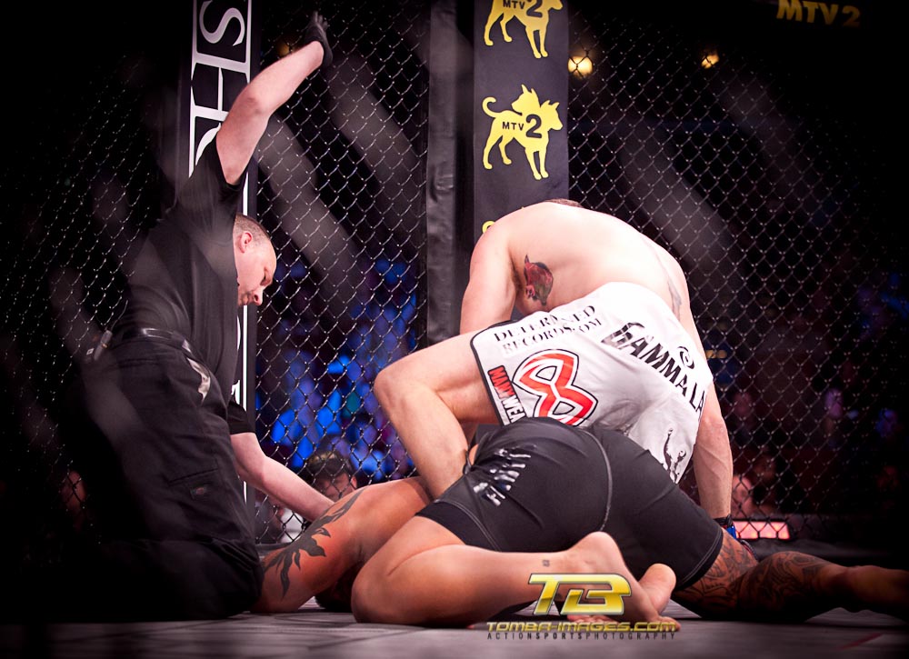 Bellator #75 Fight Night