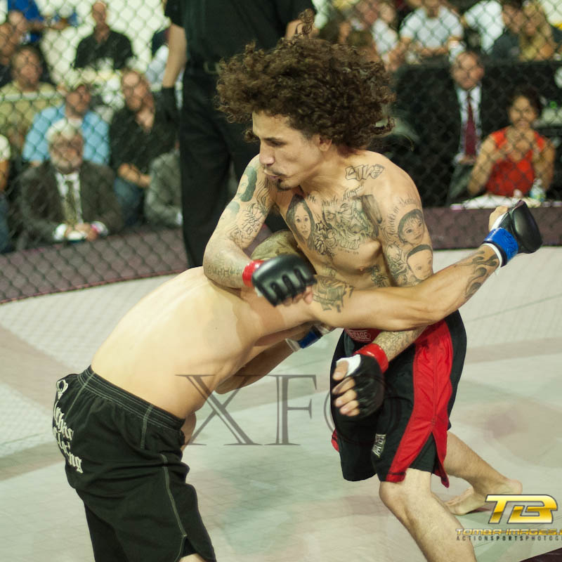 XFO 44 Sears Centre photo galleries