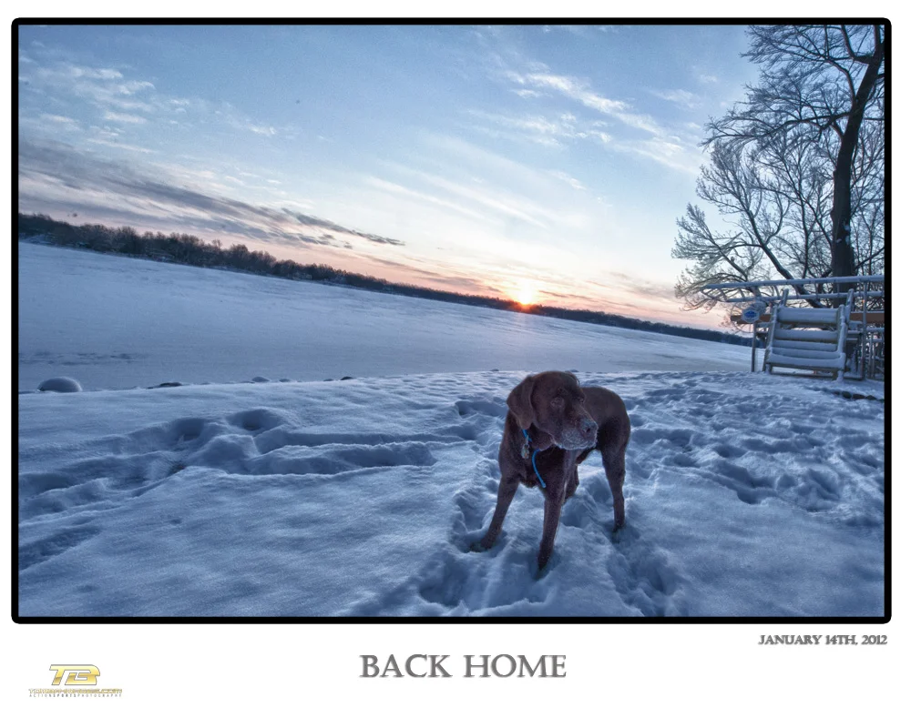 Back Home ....Ice Report