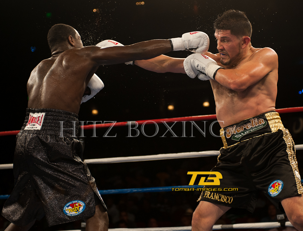 Hitz Boxing presents "Fight night at the Horseshoe"