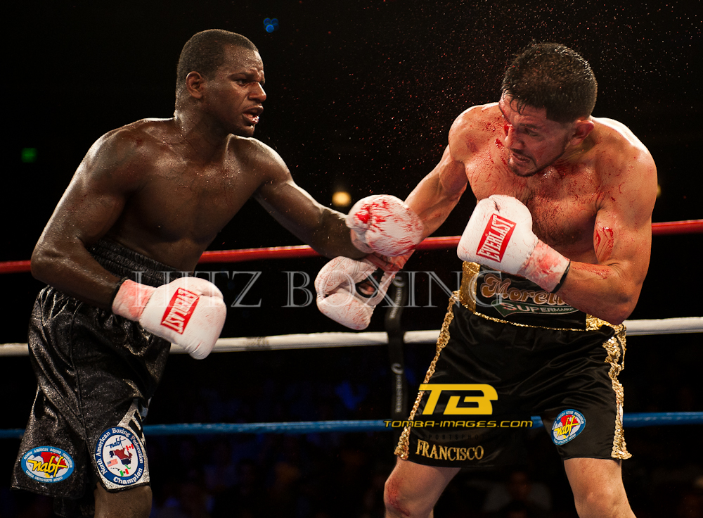 Hitz Boxing presents "Fight night at the Horseshoe"
