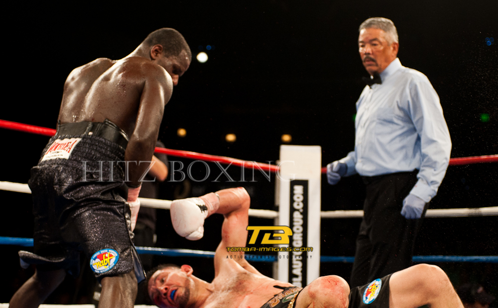 Hitz Boxing presents "Fight night at the Horseshoe"