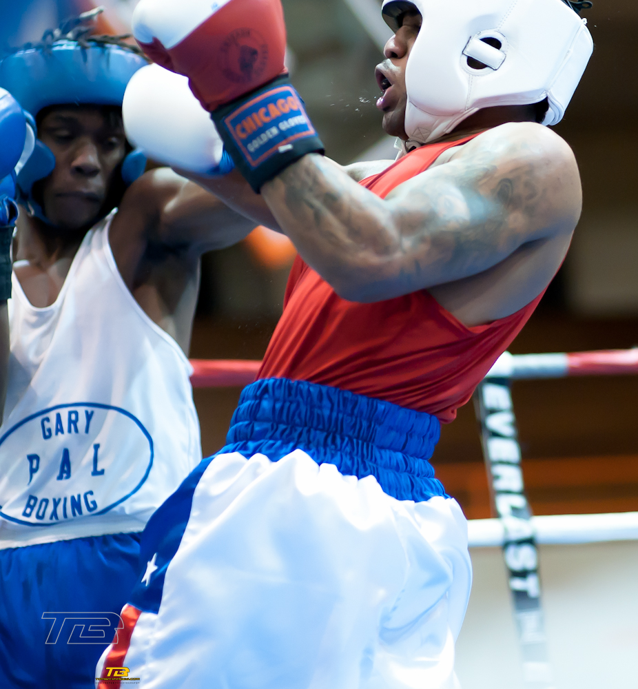 Chicago Golden Gloves March 4th Quick Picks