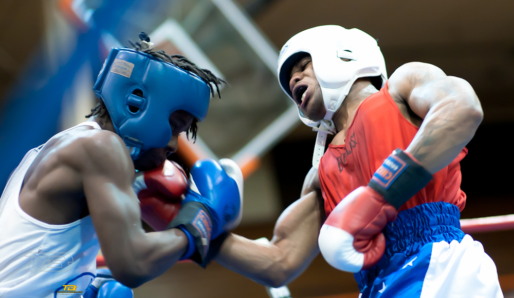 Chicago Golden Gloves March 4th Quick Picks