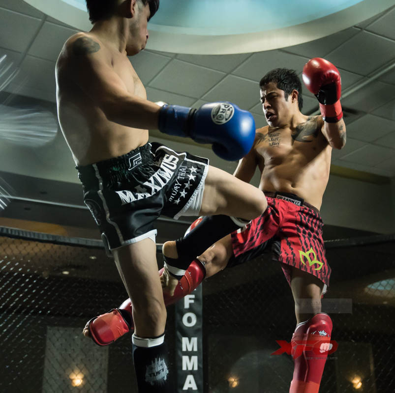 XFO05317.jpg