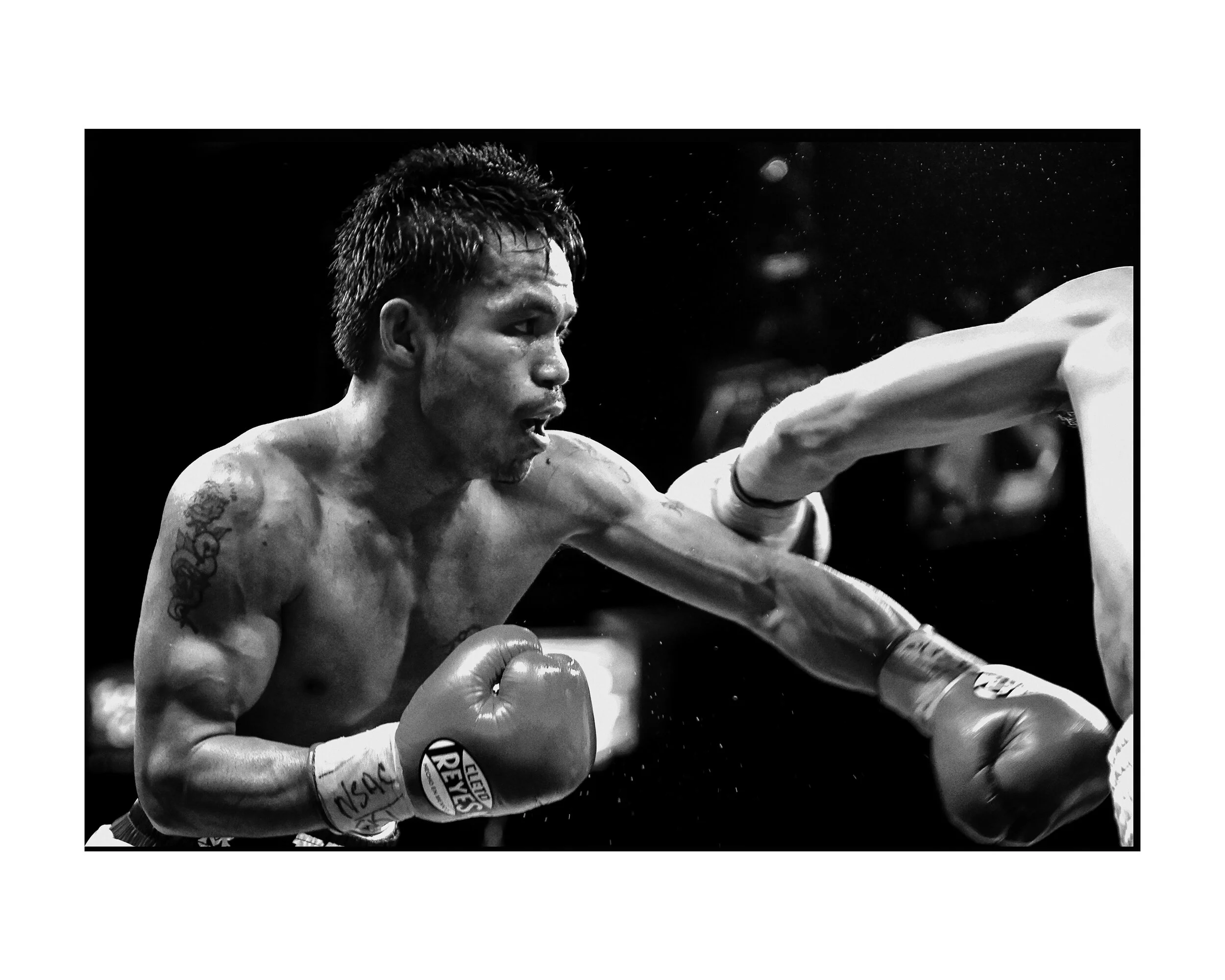 Manny-July 2016-1.jpg