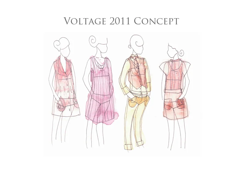 Voltage2011Slide3.jpg