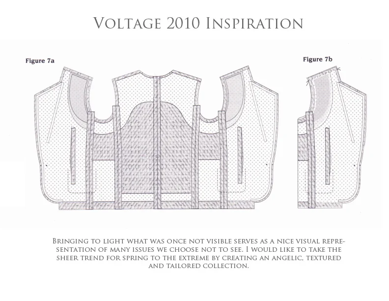 Voltage2011Slide4.jpg