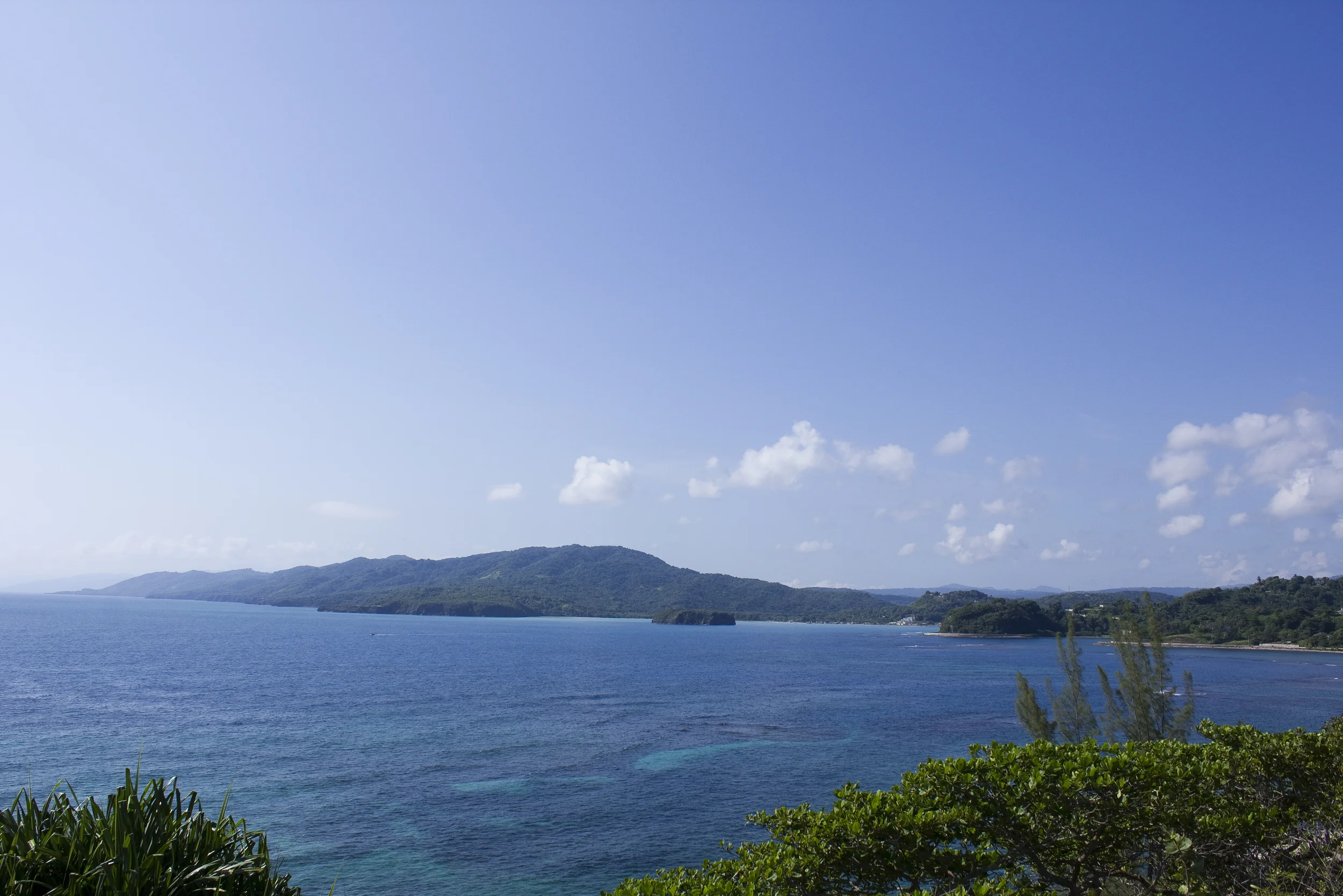 Room with a (killer) view