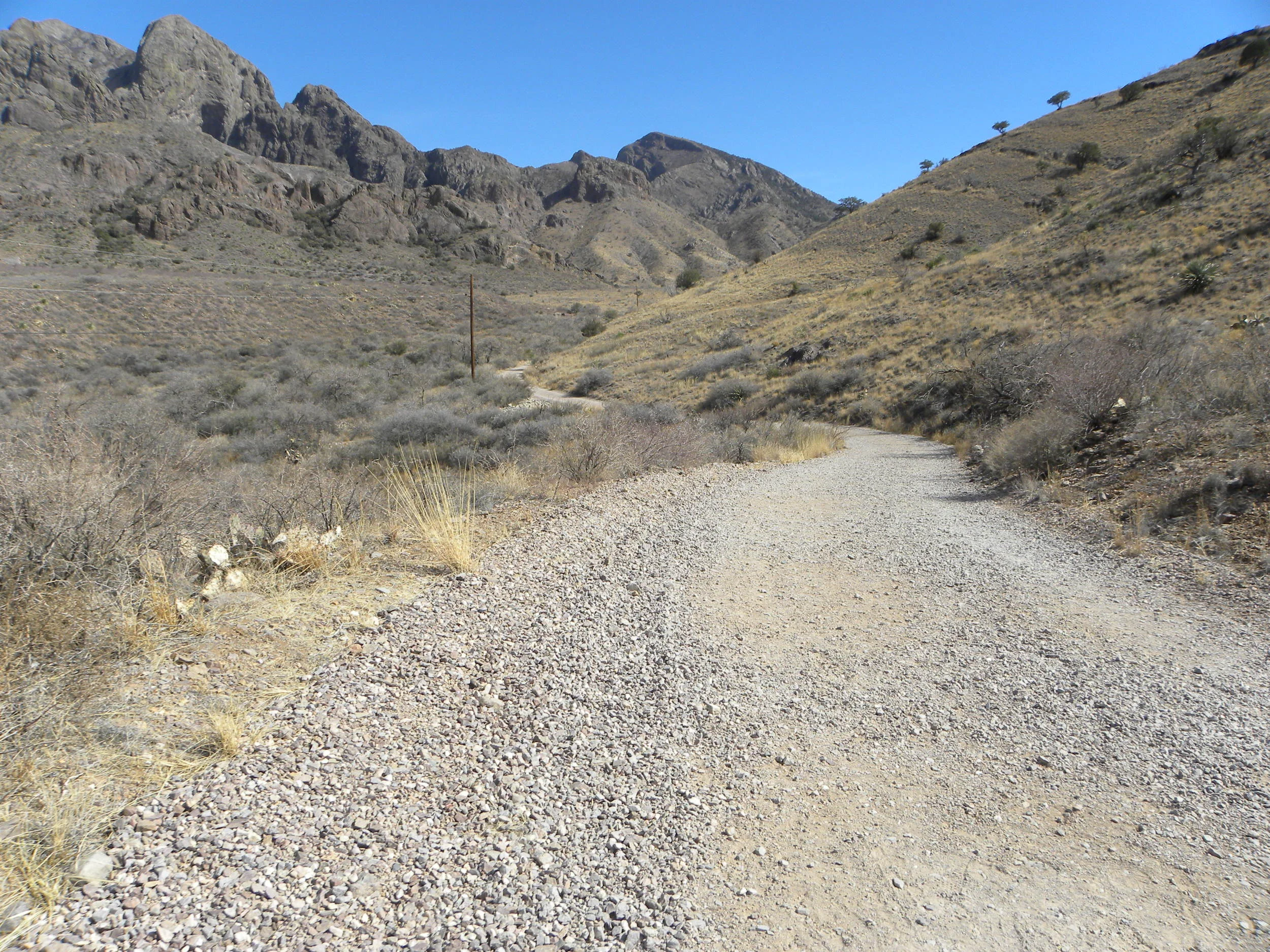 DSCN0338.JPG