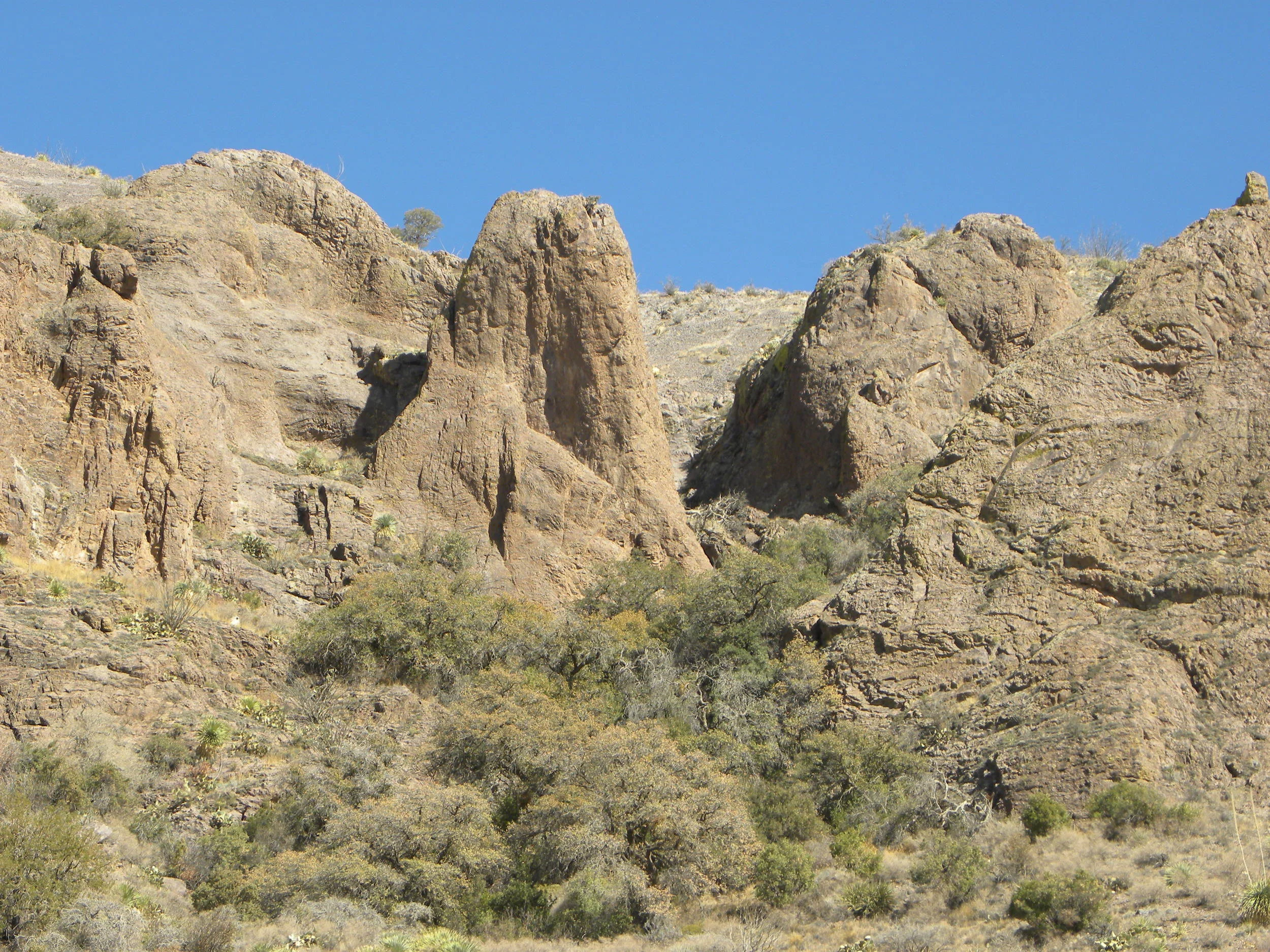 DSCN0364.JPG