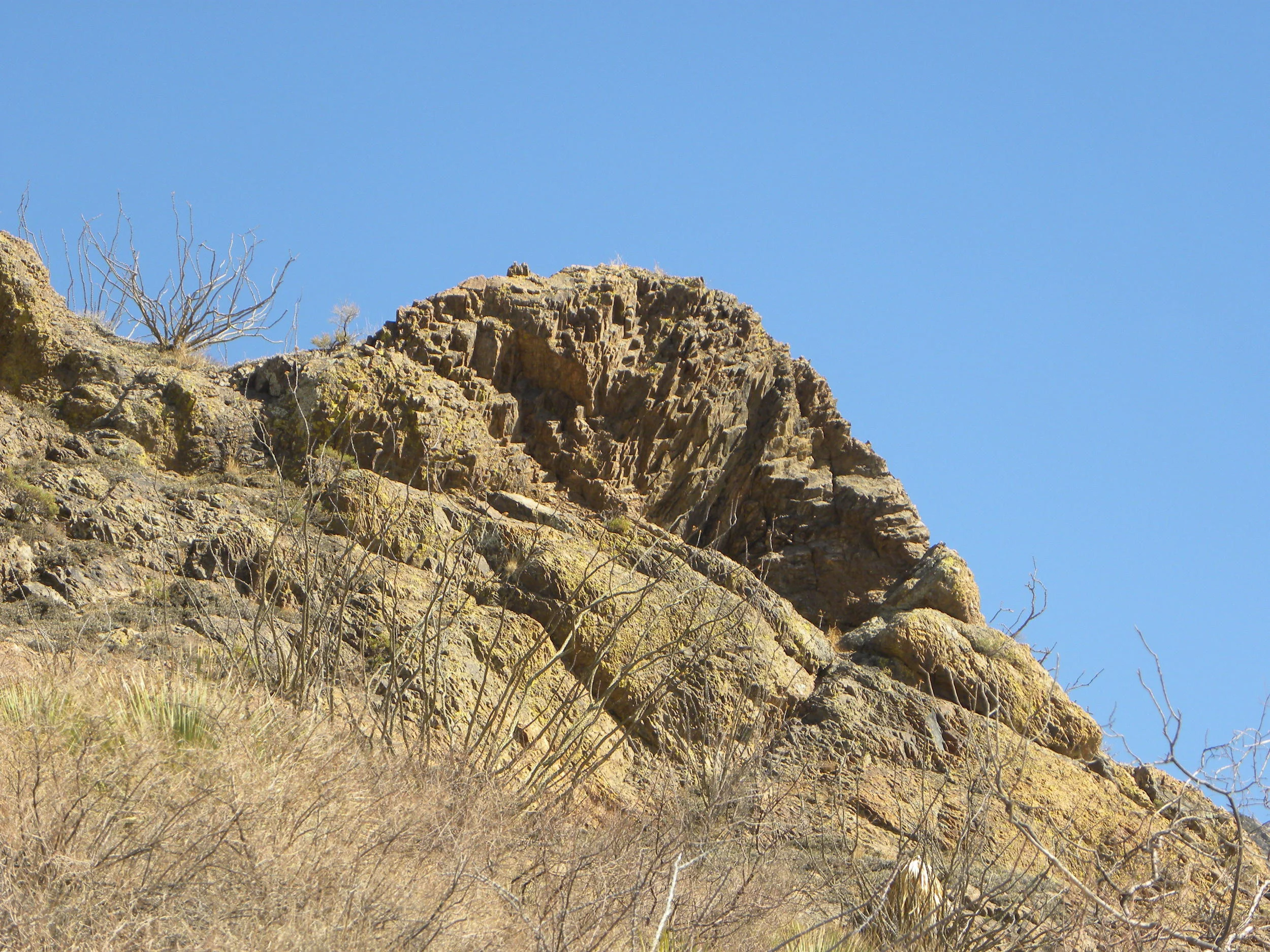 DSCN0368.JPG