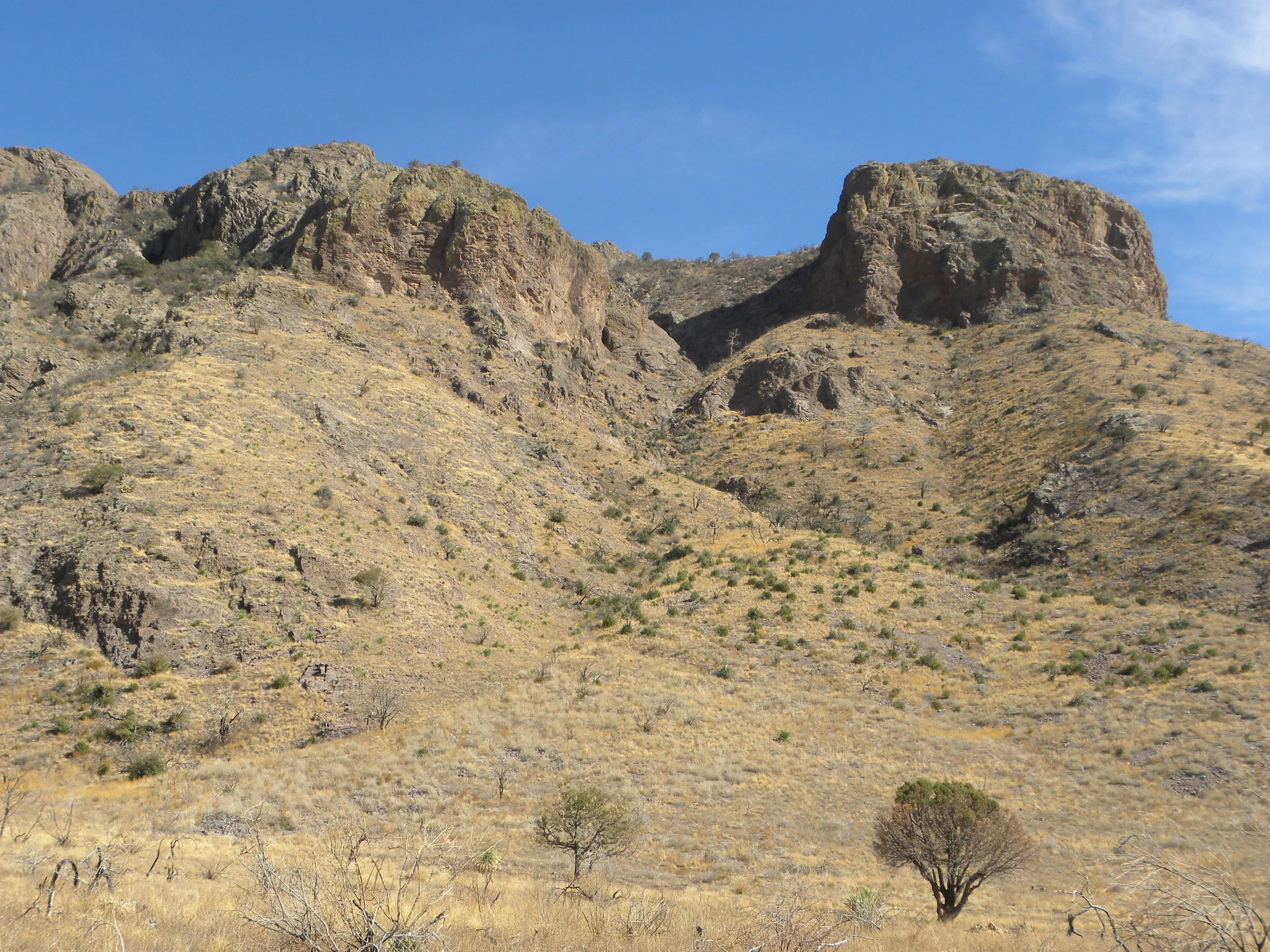 DSCN0388.JPG