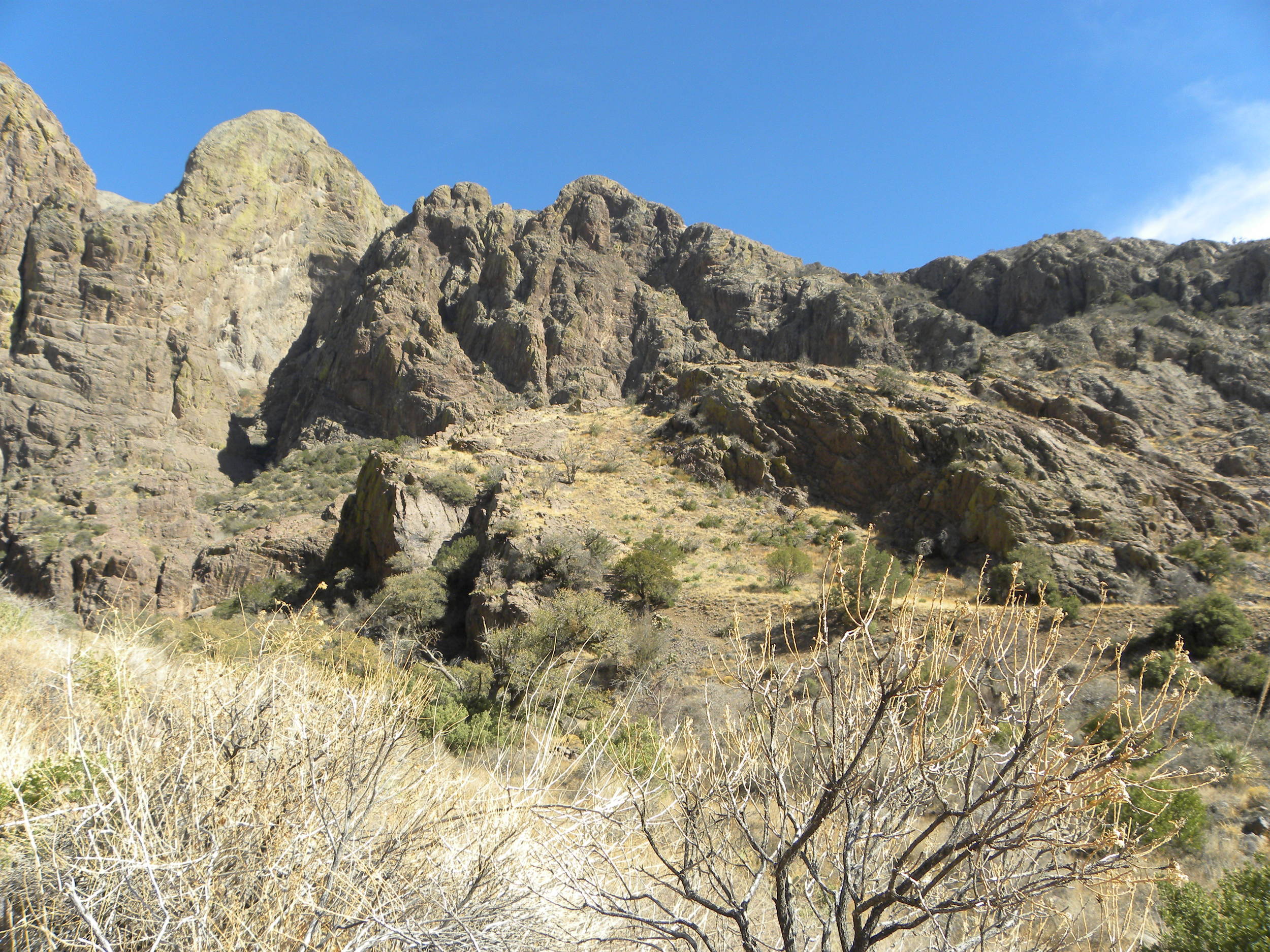 DSCN0400.JPG