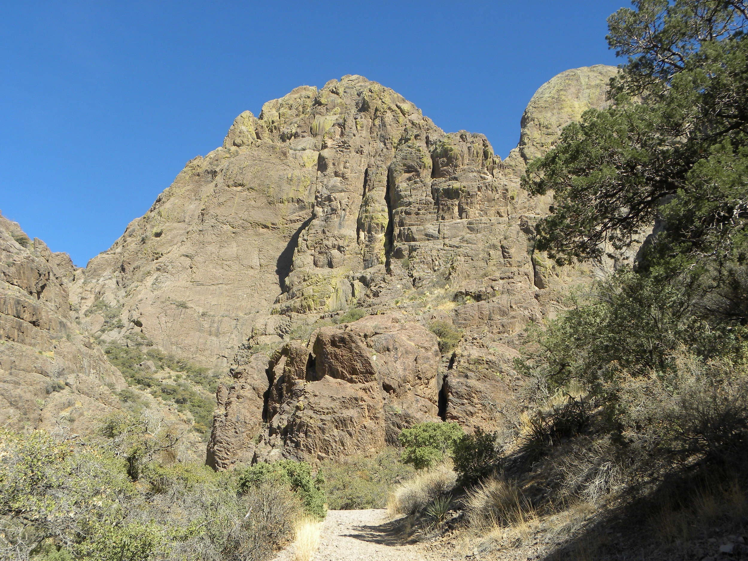 DSCN0407.JPG