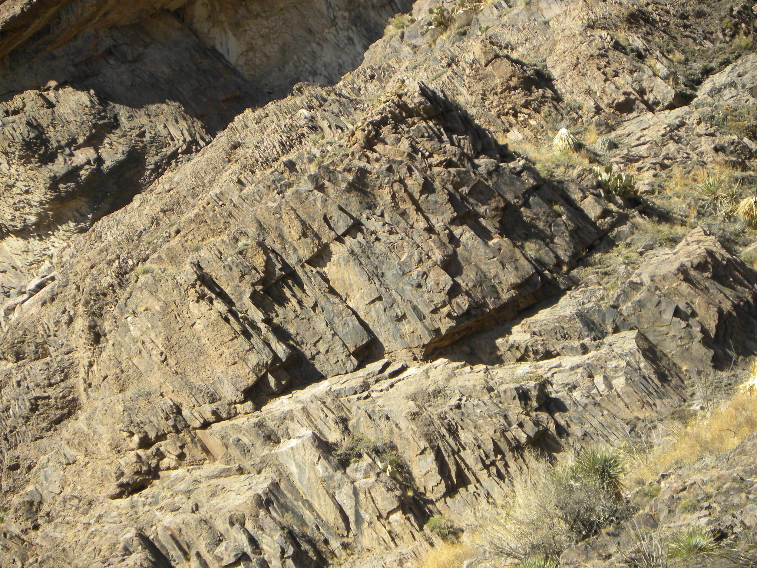 DSCN0415.JPG