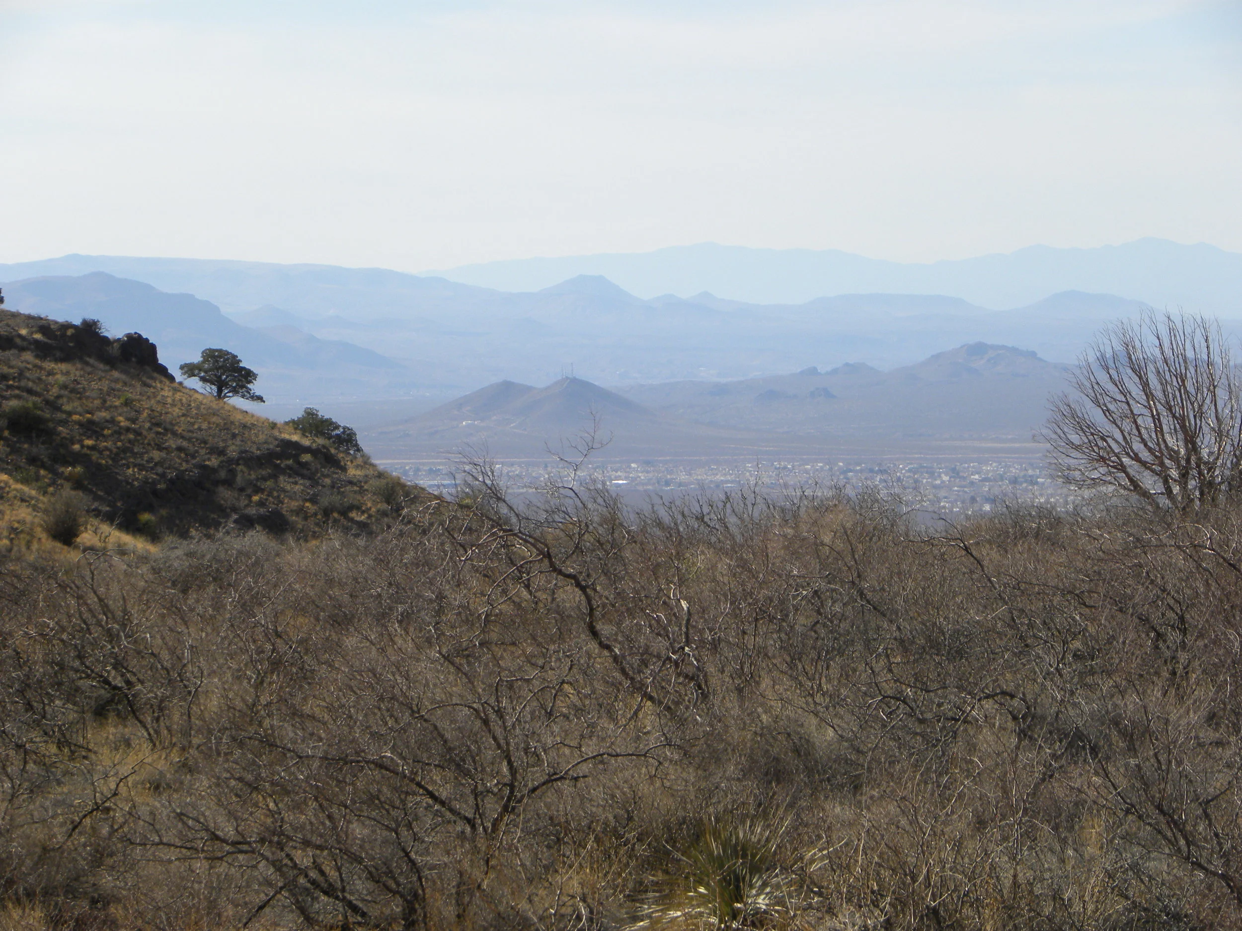 DSCN0479.JPG