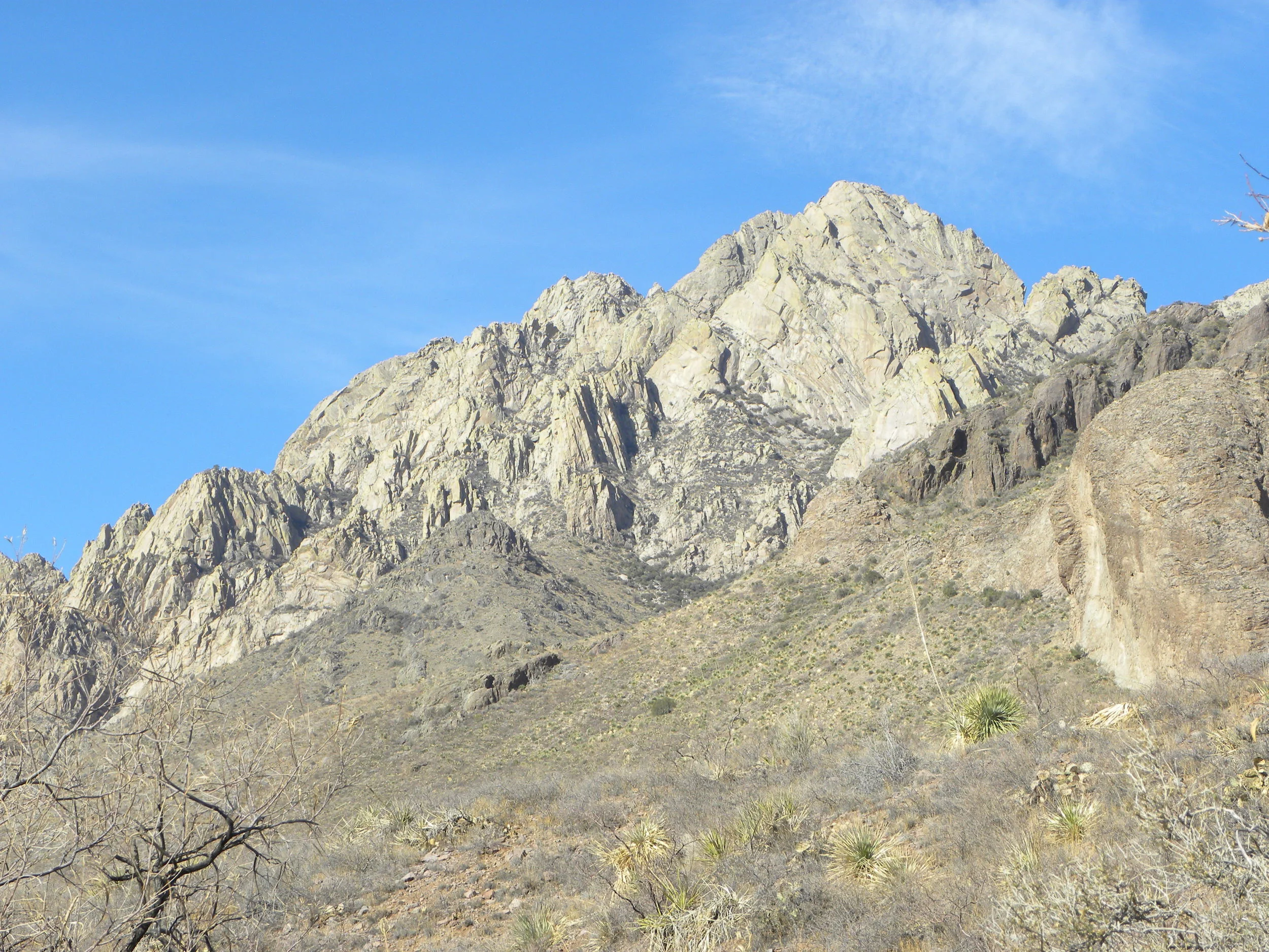 DSCN0493.JPG