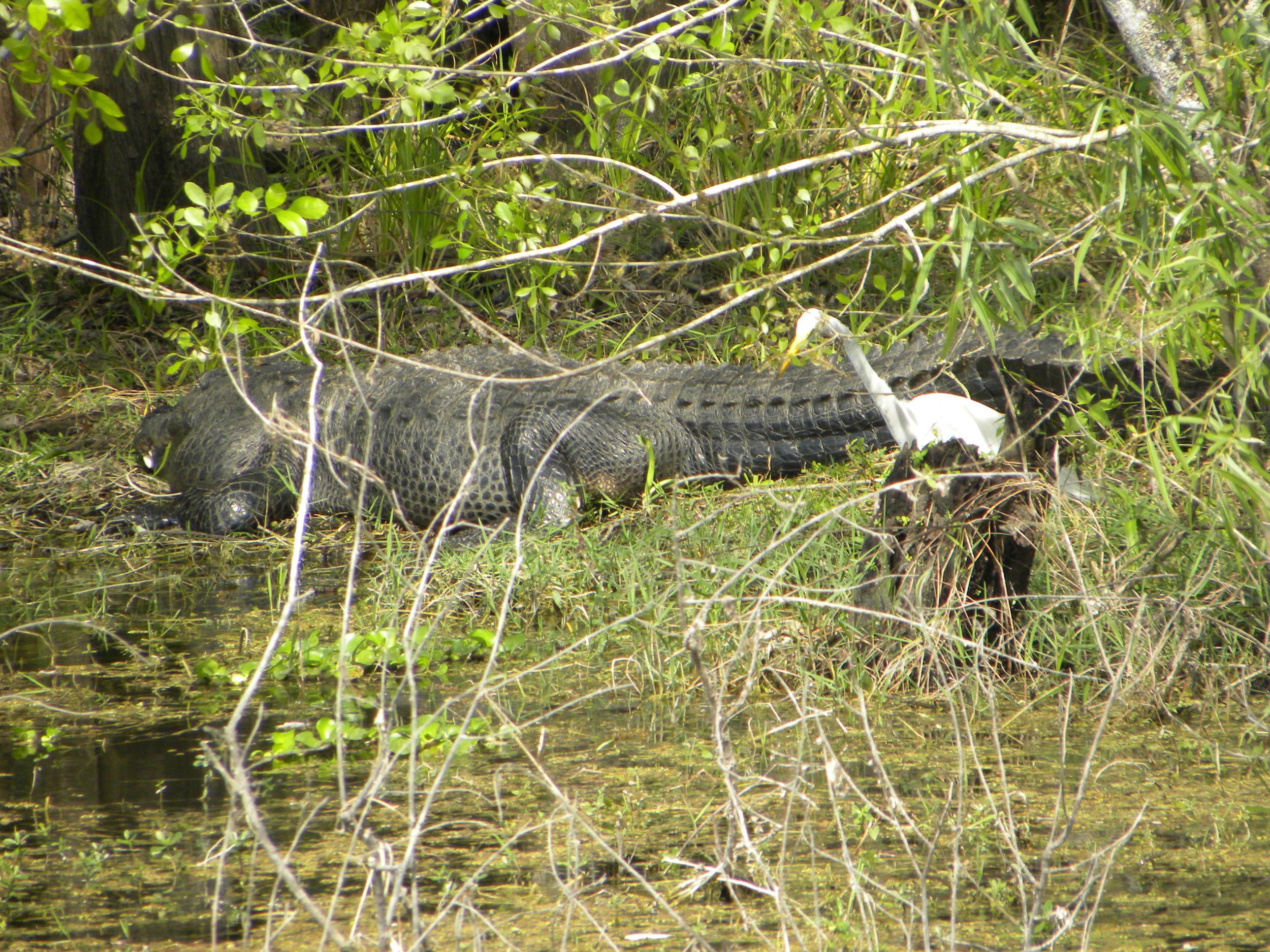 DSCN9047.JPG
