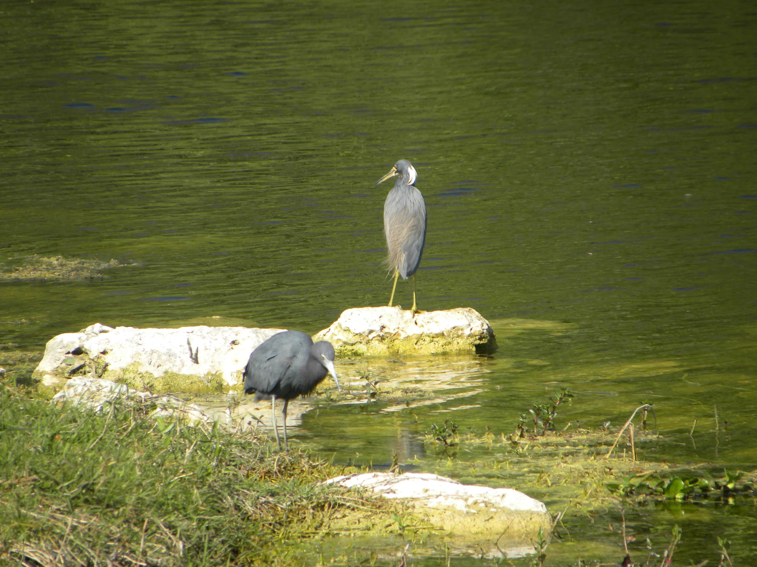 DSCN9090.JPG