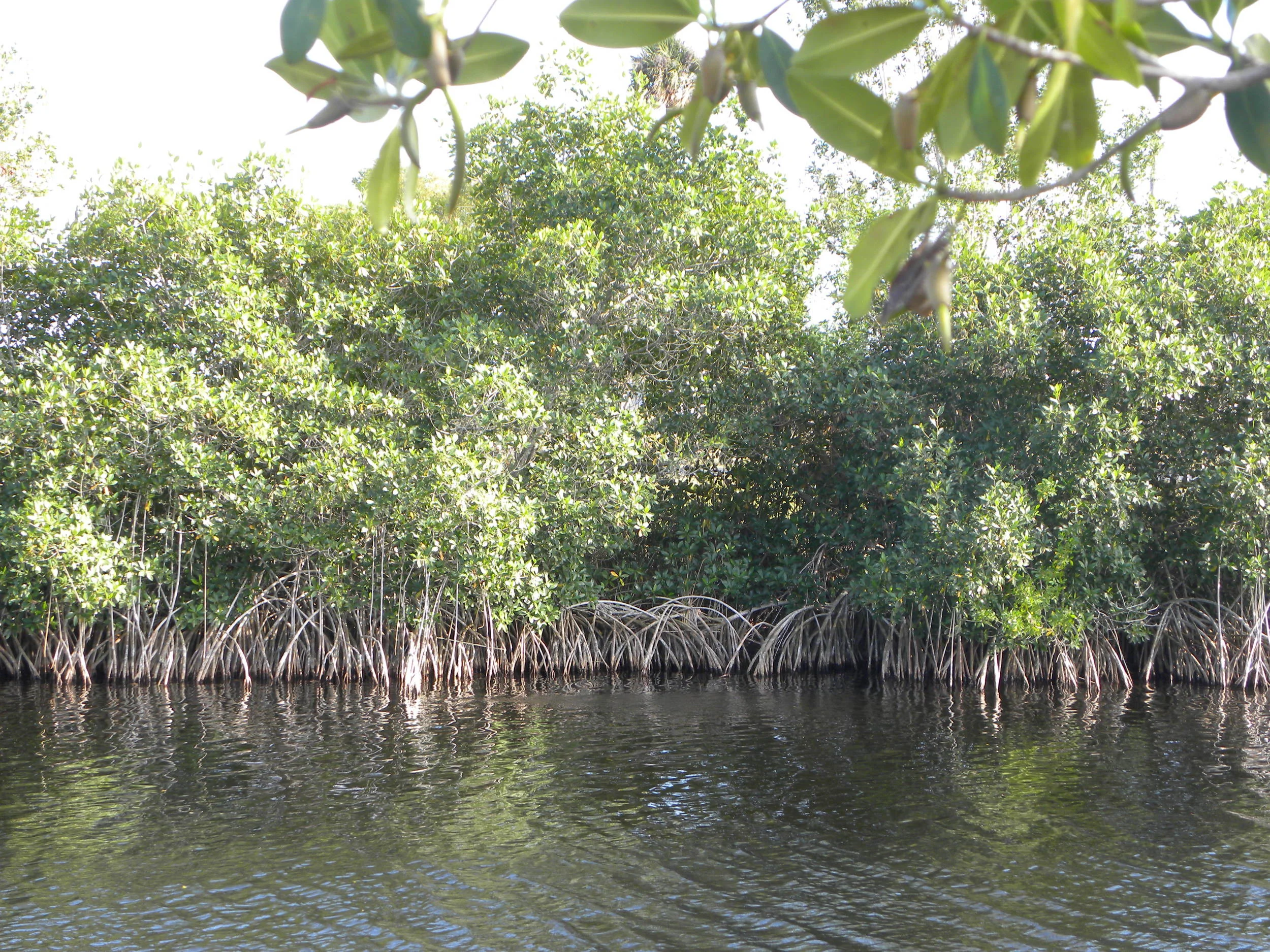 DSCN9098.JPG