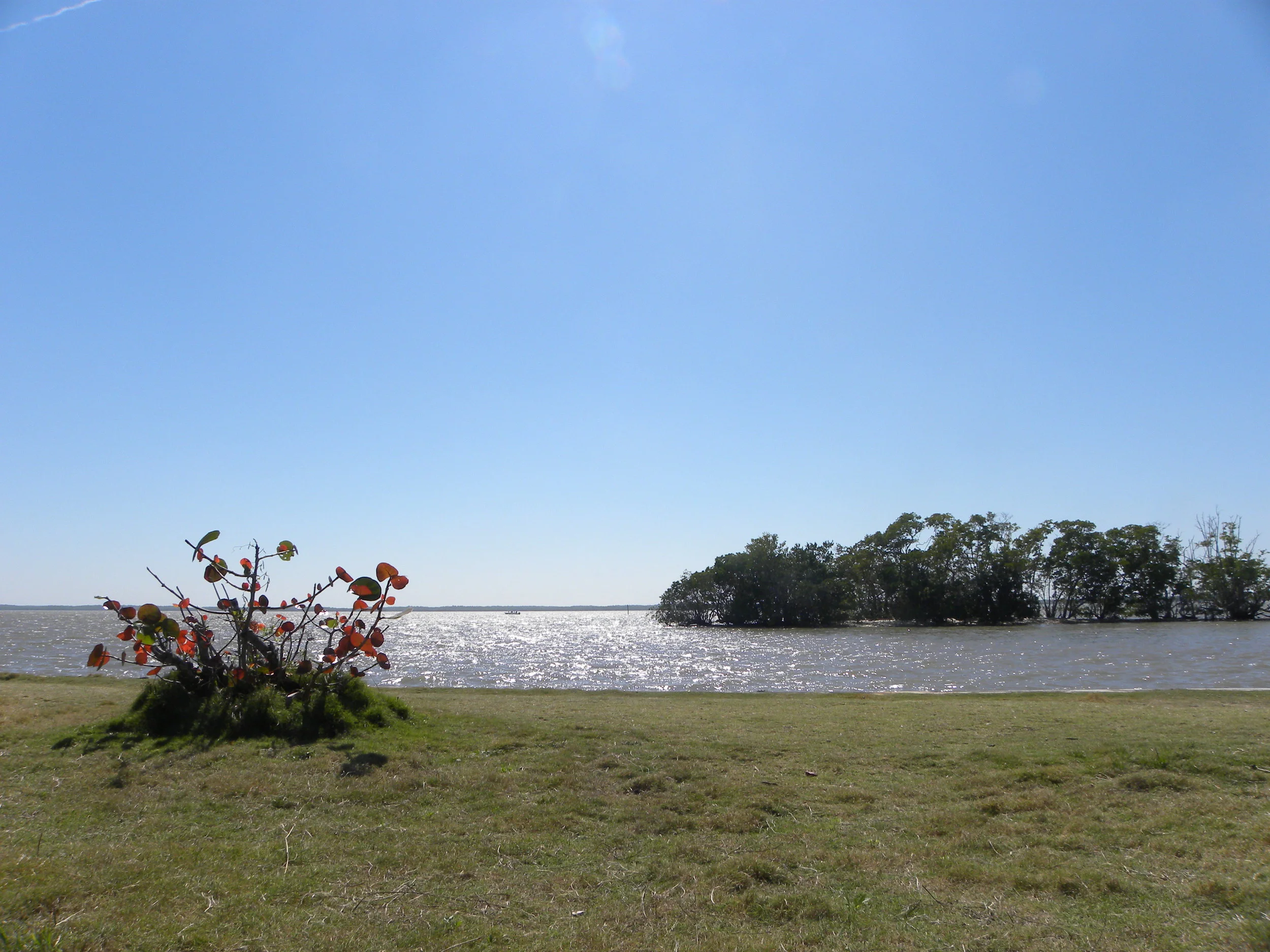 DSCN9215.JPG