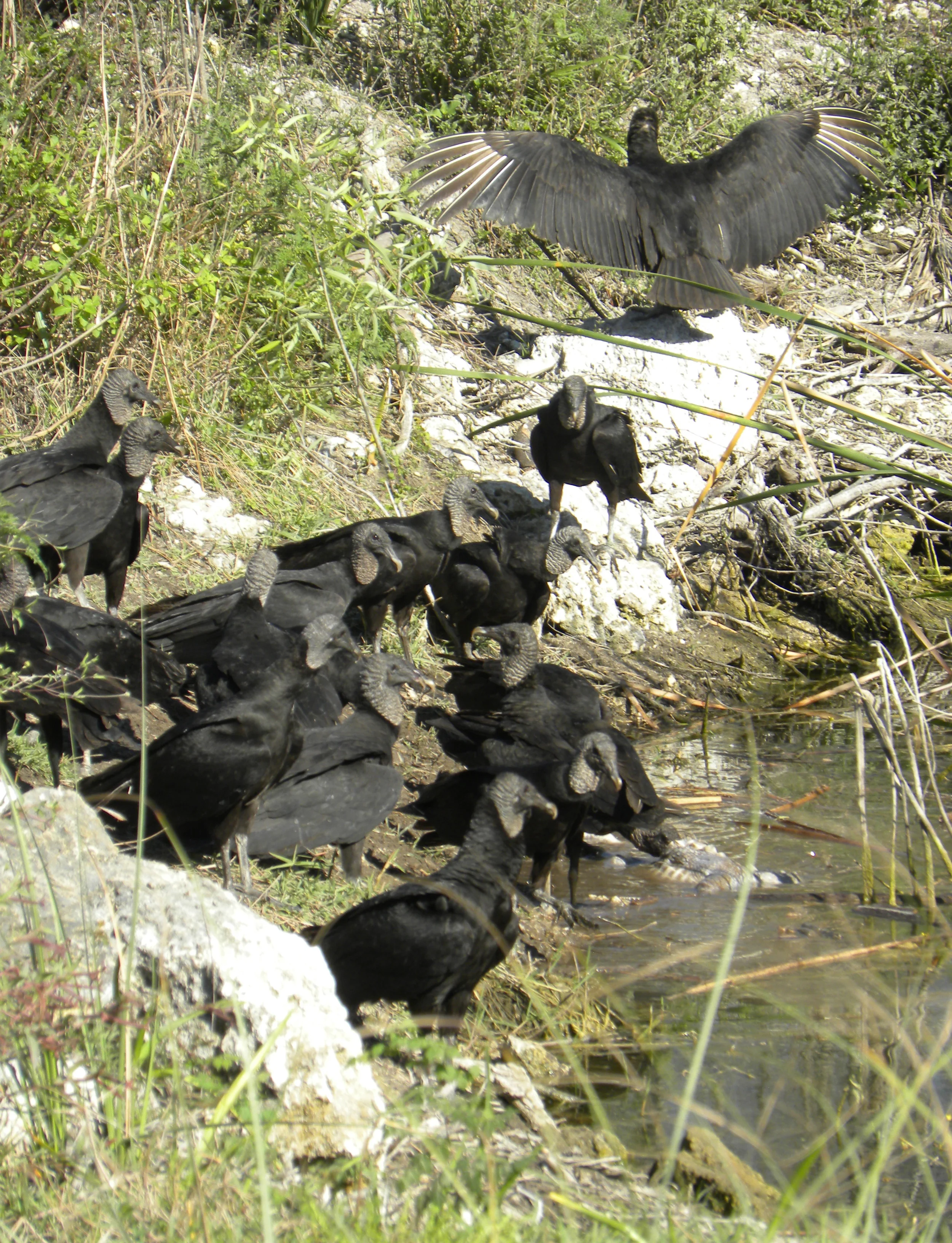 DSCN9267.JPG