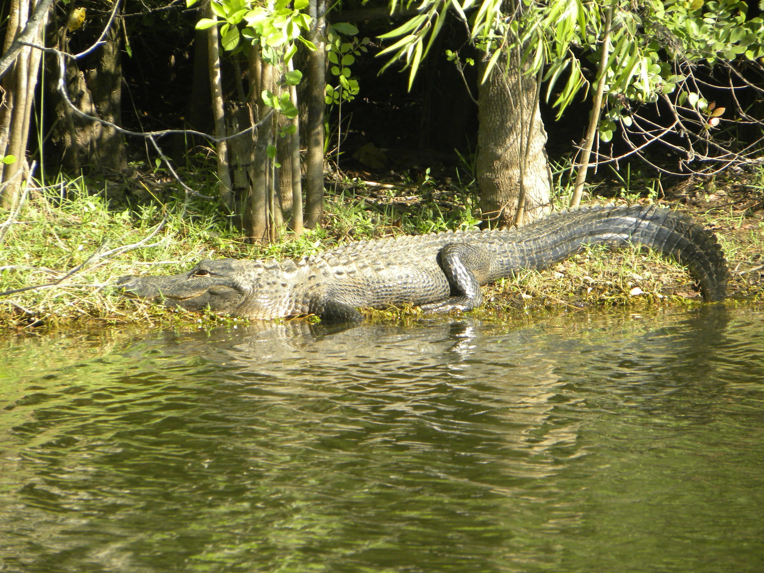 DSCN9300.JPG