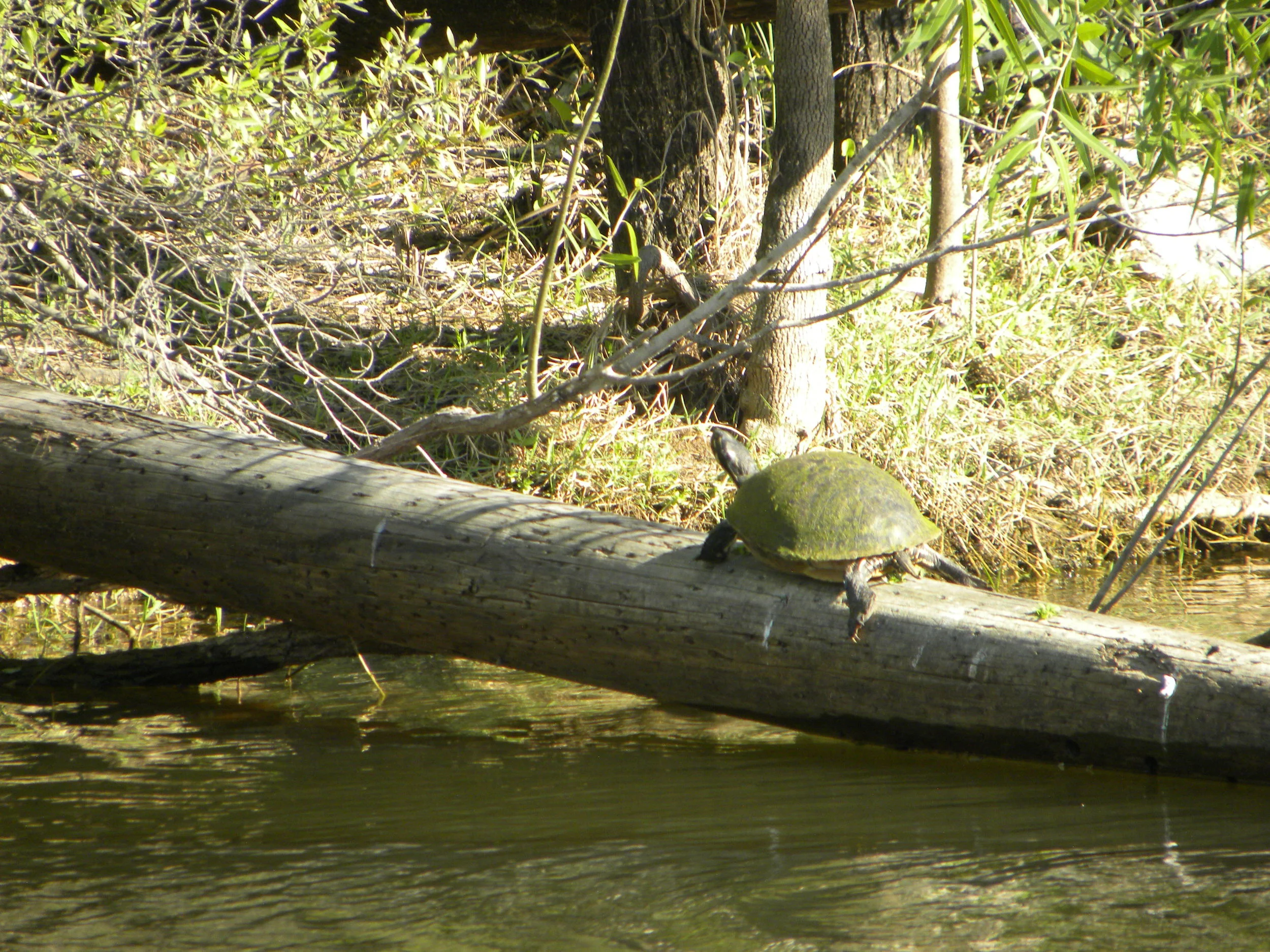 DSCN9305.JPG