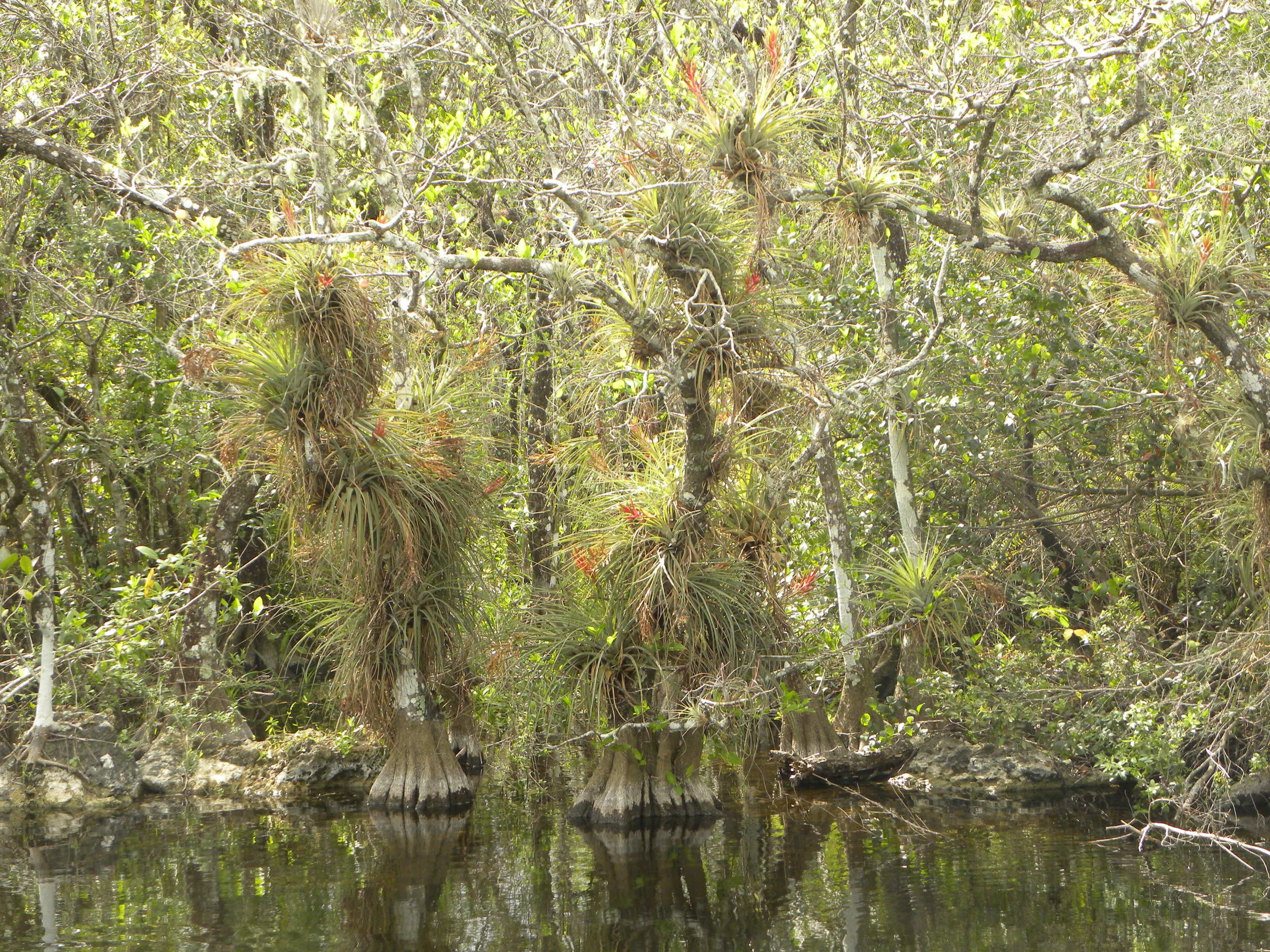DSCN9329.JPG
